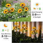 1+1 GRATUIT | SolarBloom™ | Votre paradis de jardin s'épanouit sous la lumière chaude du soleil